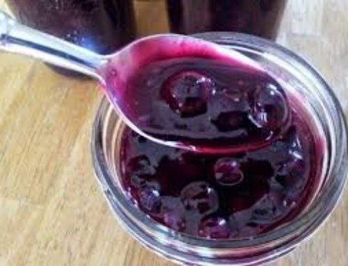 Easy Homemade Blueberry Sauce